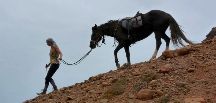 Randonnée à cheval sportive dans le Sud Marocain