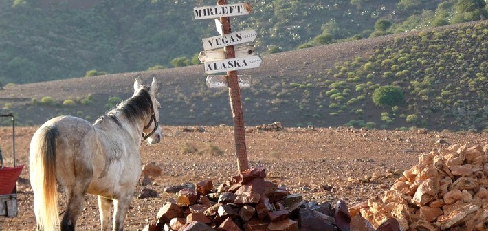 Randonnée à cheval sportive dans le Sud Marocain