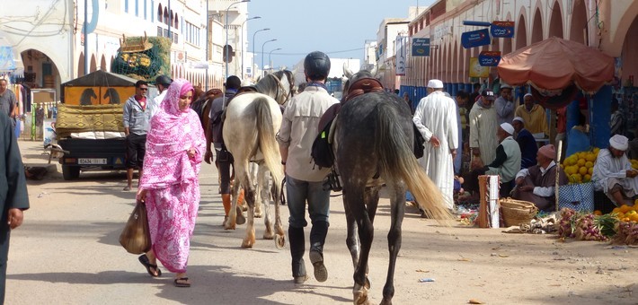 Randonnée à cheval sportive dans le Sud Marocain