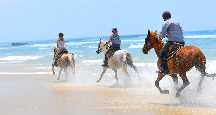 Randonnée équestre sur les plages de l