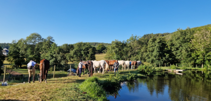 Randonnée Liberté dans le Morvan - Caval&go 