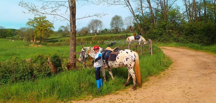 La Bourgogne à cheval en pays Charolais – Brionnais - Caval&go