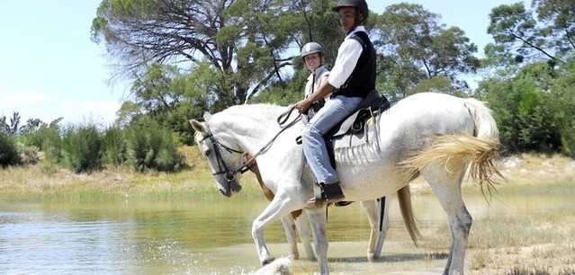 Voyage à cheval sur la route des vins - Région viticole du Cap - Caval&go