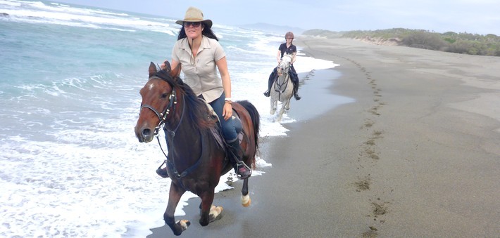 Galops Sur Les Plages Et Baignades à Cheval Cavalgo