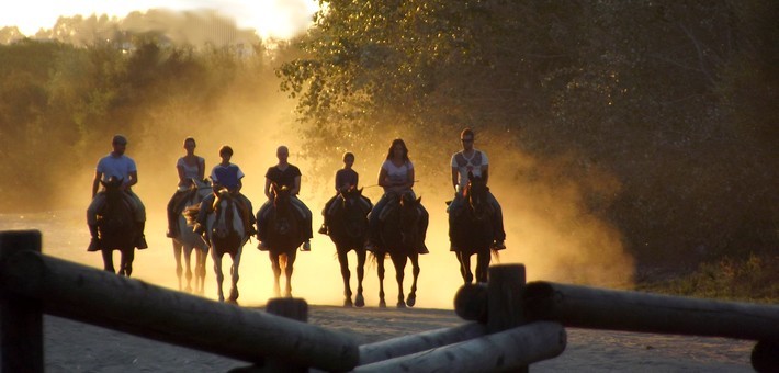 https://www.cavalngo.com/images/voyages/randonnee_cheval_donana_caval_go__5_1.jpg