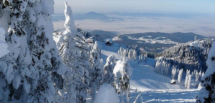Séjour équestre dans la neige en Transylvanie