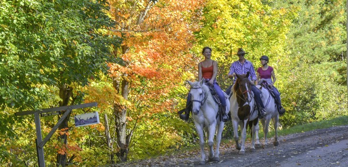 Randonnée à cheval dans la région de Mégantic au Québec