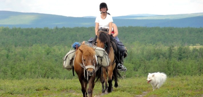 Randonnée à cheval en Suède - Caval&go