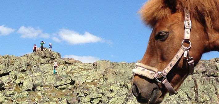 Randonnée à cheval en Suède - Caval&go