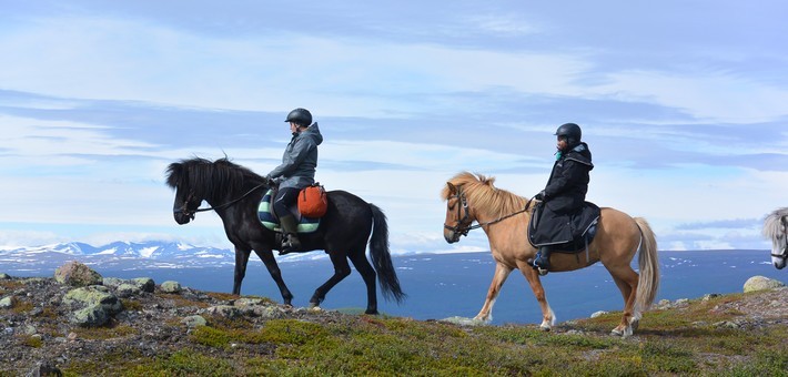 Randonnée à cheval en Suède - Caval&go