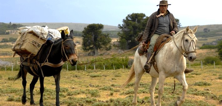 Randonnée équestre sur les terres pionniers d'Argentine