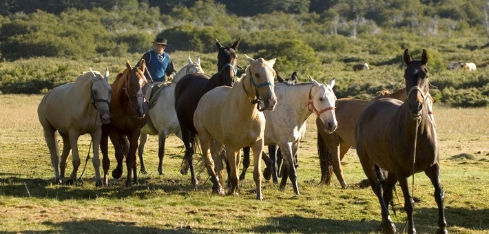 Randonnée équestre sur les traces des pionniers d