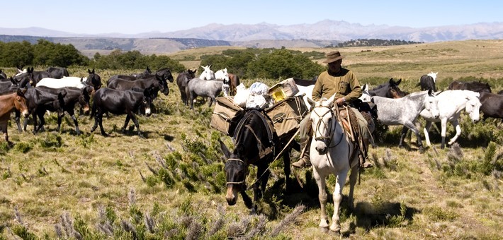Randonnée équestre sur les traces des pionniers d