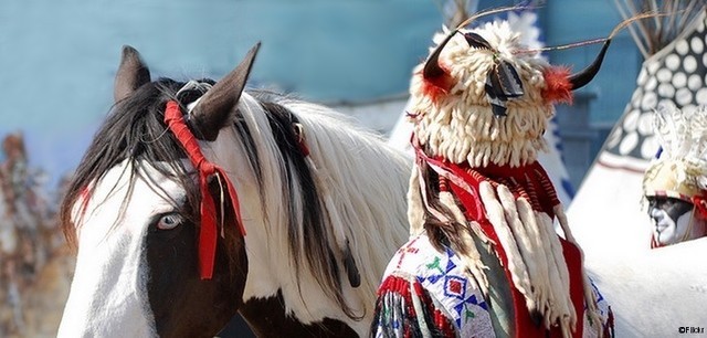 Randonnée à cheval au Québec et Festival Western de St-Tite - caval&go