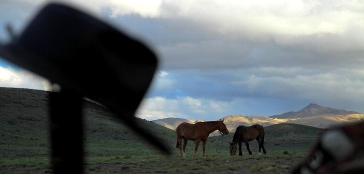 Randonnée équestre au Chili, terre des Baqueanos 