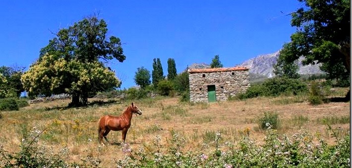 Rando cheval en Corse autour des lacs