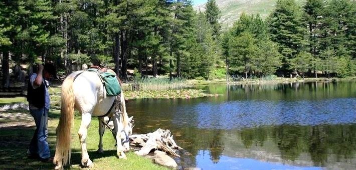 Randonnée à cheval entre lacs et sommets de Corse