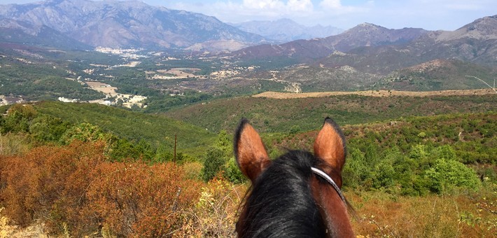 Initiation à la randonnée équestre en Corse