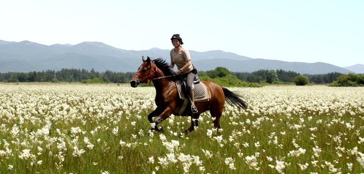 A cheval au cœur du Parc National des lacs de Plitvice