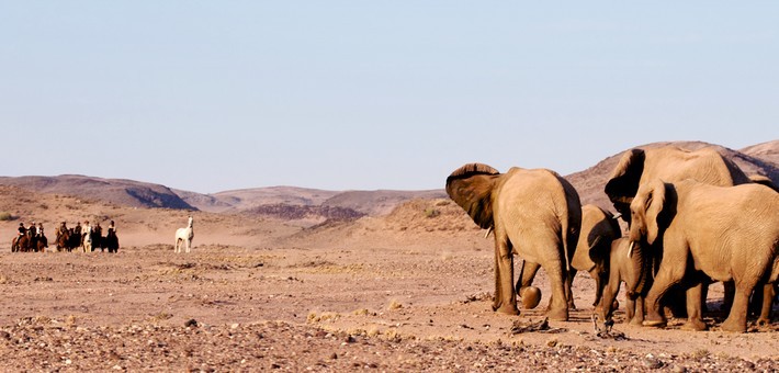 Randonnée à cheval en Namibie dans le Damaraland - Caval&go