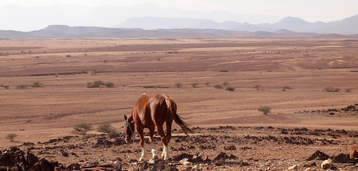 Randonnée à cheval en Namibie dans le Damaraland - Caval&go