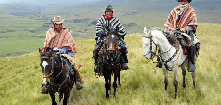 Randonnée équestre en Equateur: rassemblement de chevaux