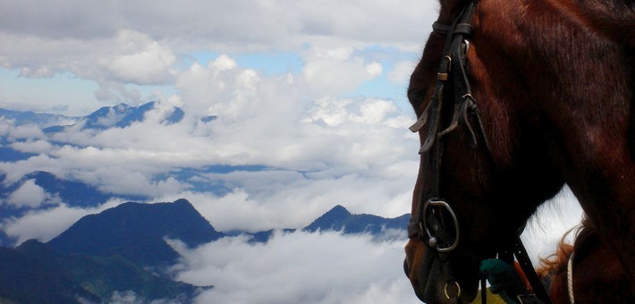 Randonnée à cheval entre volcans et Haciendas en Equateur