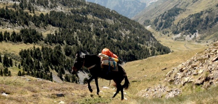 Randonnée à cheval - le long des torrents Pyrénéens