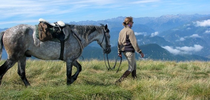 Les Pyrénées à perte de vue