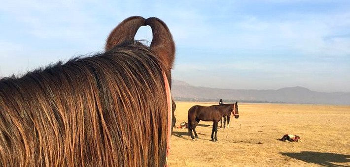 Randonnée à cheval dans le désert du Shekhawati en Inde 