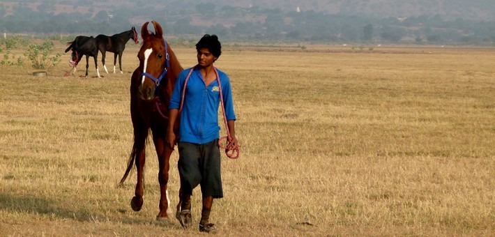 Randonnée à cheval dans le désert du Shekhawati en Inde - Caval&go
