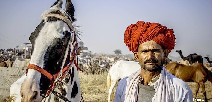 Randonnée à cheval en Inde pour la grande foire de Pushkar