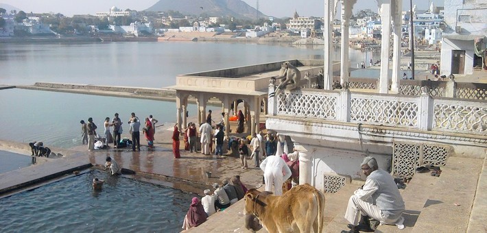 Randonnée à cheval en Inde pour la foire de Pushkar au Rajasthan - Caval&go