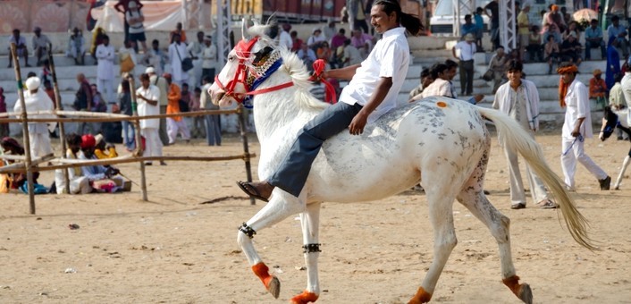 Randonnée à cheval en Inde pour la foire de Pushkar au Rajasthan - Caval&go