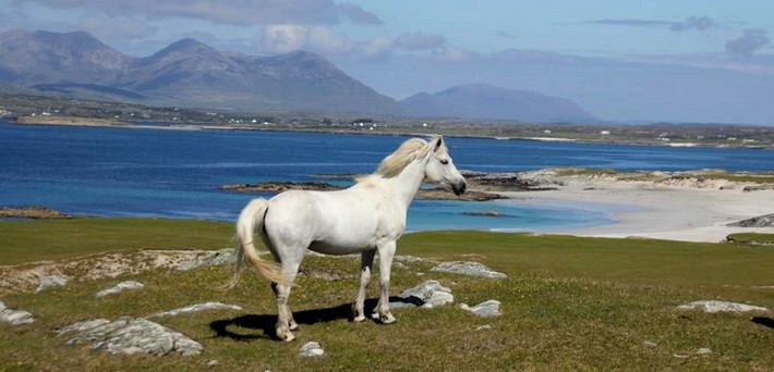 Rando à cheval en Irlande sur les terres du Connemara