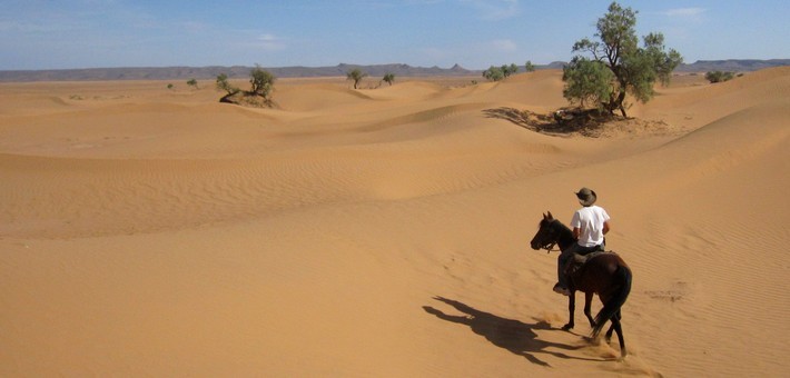 Randonnée équestre dans le désert du Maroc