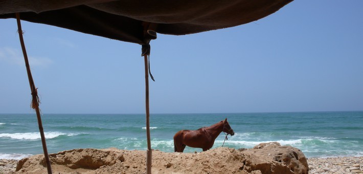 Randonnée équestre sur les côtes d'Essaouira au Maroc