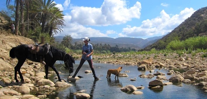 Randonnée à cheval dans les oasis, petits paradis du Maroc - Caval&go