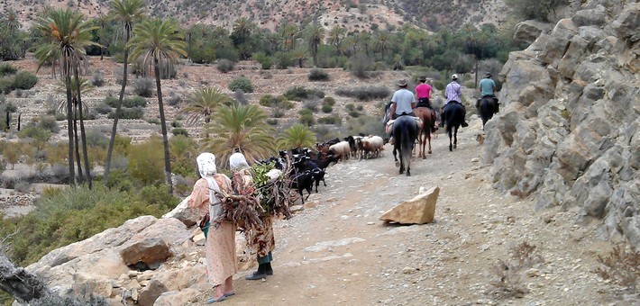 Randonnée à cheval dans les oasis, petits paradis du Maroc - Caval&go