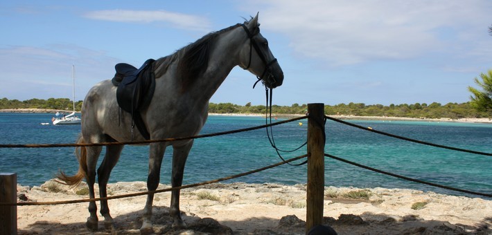 Randonnée à cheval sur Minorque - Caval&go
