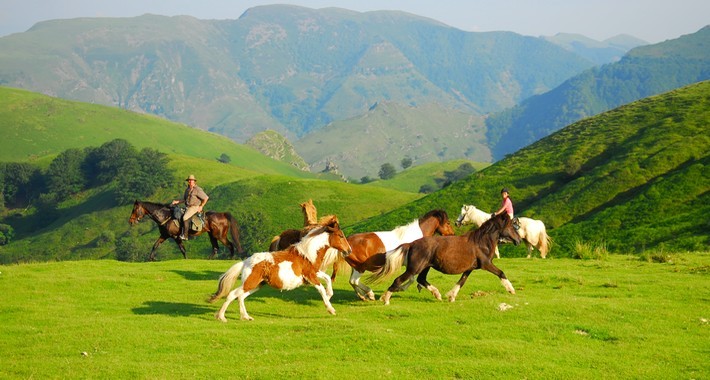 Randonnée équestre au cœur du Pays Basque: entre montagnes & océan