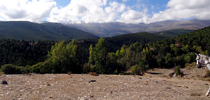 Randonnée équestre en Andalousie dans la Sierra Nevada - Caval&go