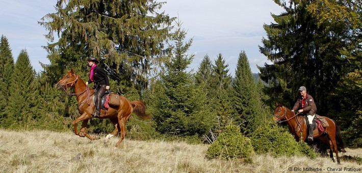 Randonnée équestre dans les montagnes de Transylvanie