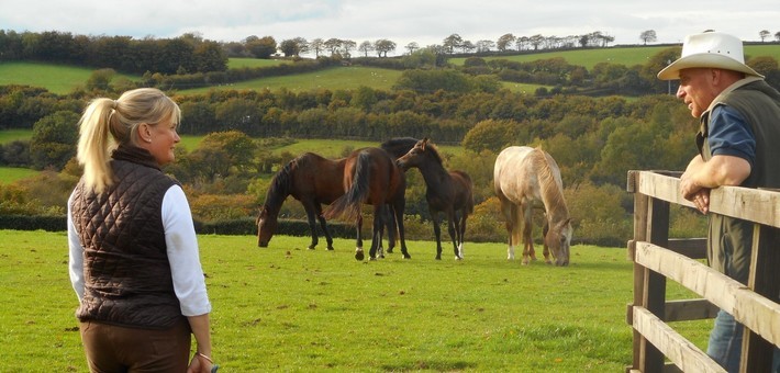 Convoyage de bétail et de chevaux en Angleterre