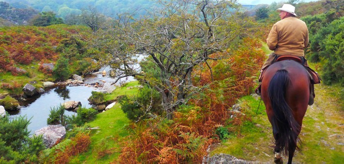 Randonnée équestre western dans le parc du Dartmoor en Angleterre