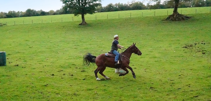Convoyage de bétail et de chevaux en Angleterre