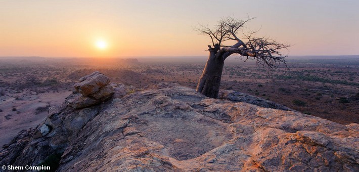 Safari à cheval au Botswana en itinérance