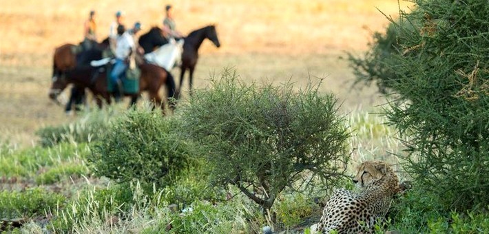 Safari à cheval au Botswana en itinérance