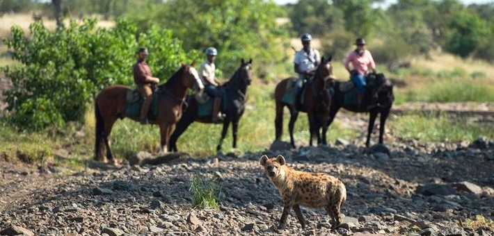 Safari à cheval au Botswana en itinérance