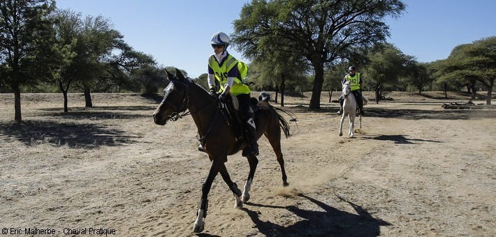 Safari à cheval et course d'endurance en Namibie